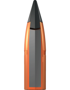 Munições de Carabina Winchester Extreme Point 180gr Cal. 30-06SPRG 2