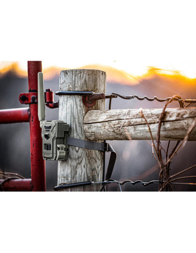 Spypoint Flex-M | Detetores de Movimento