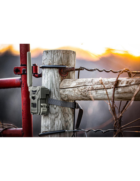 Spypoint Flex-M | Detetores de Movimento