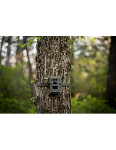 Spypoint Flex-M | Detetores de Movimento