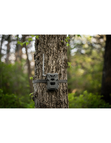 Spypoint Flex-M | Detetores de Movimento