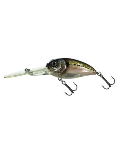 Amostras Rijas | Pesca