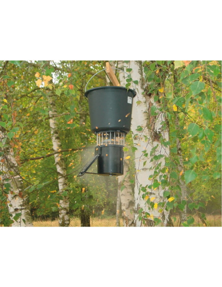 Alimentador de caça para cevadouros