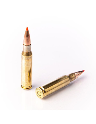 Munições de Carabina Fiocchi EPN 180gr Cal.308Win