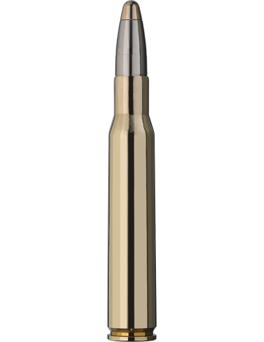 Munições carabina RWS Evolution Hunting 184gr Cal. 30.06SPRG | Caça Maior
