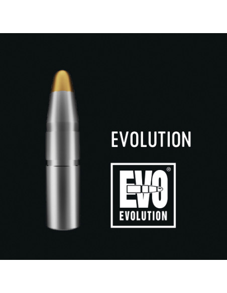 Munições carabina RWS Evolution Hunting 184gr Cal. 30.06SPRG | Caça Maior