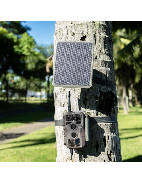 Painel Solar GardePro SP300