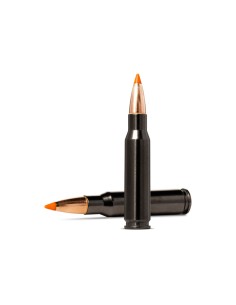 Norma TipStrike Silencer 170gr Cal. 308Win 2