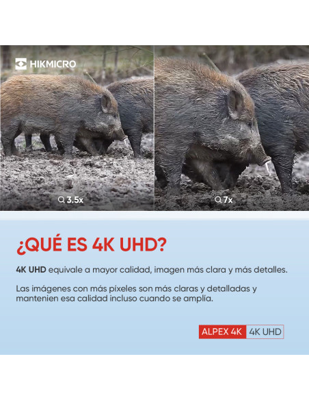 Hikmicro Alpex A50E 4K | Visão Noturna | Esperas ao javali